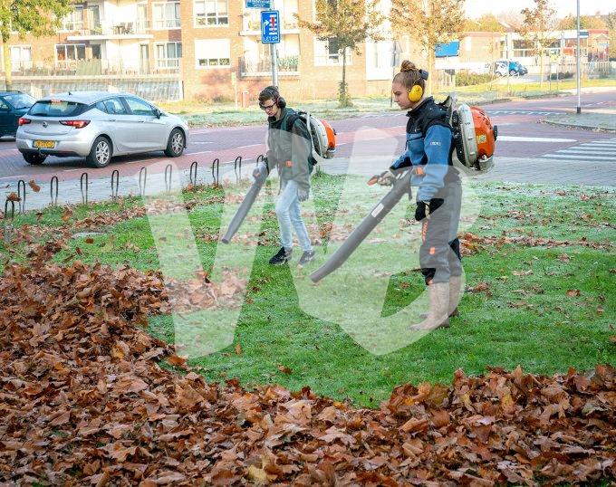 Praktijkschool vvbvanbree  5799