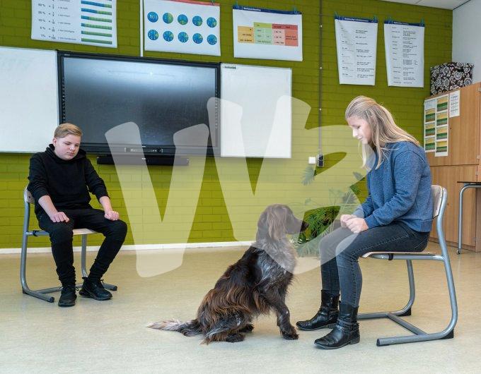 Praktijkschool vvbvanbree  5822
