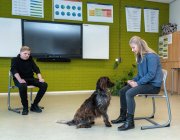Praktijkschool vvbvanbree  5822