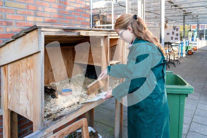 Praktijkschool vvbvanbree  5827