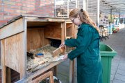 Praktijkschool vvbvanbree  5827