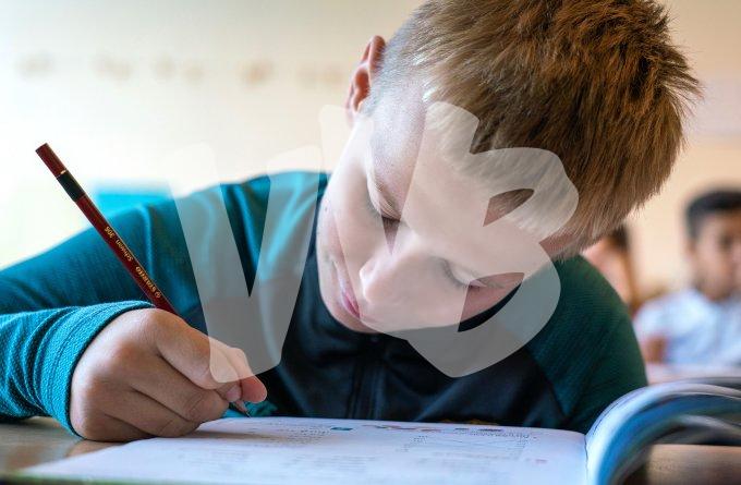 Praktijkschool vvbvanbree  5858