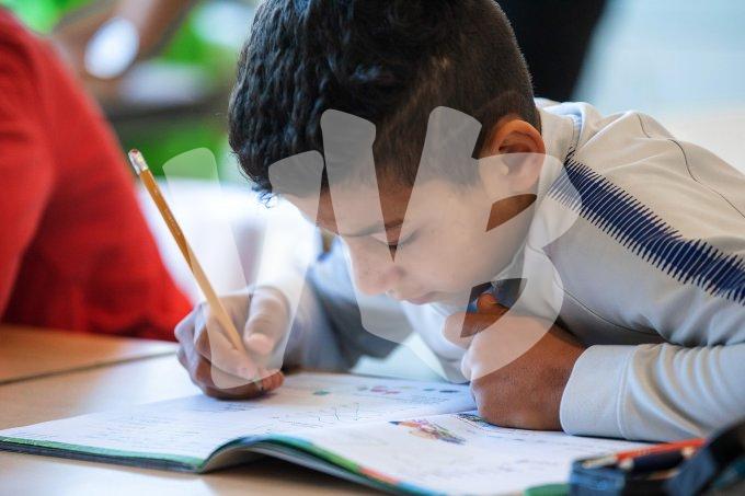 Praktijkschool vvbvanbree  5940