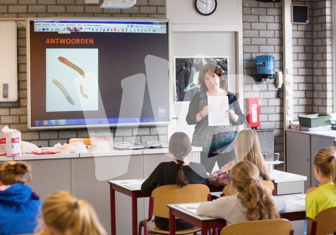Praktijkschool vvbvanbree  6084