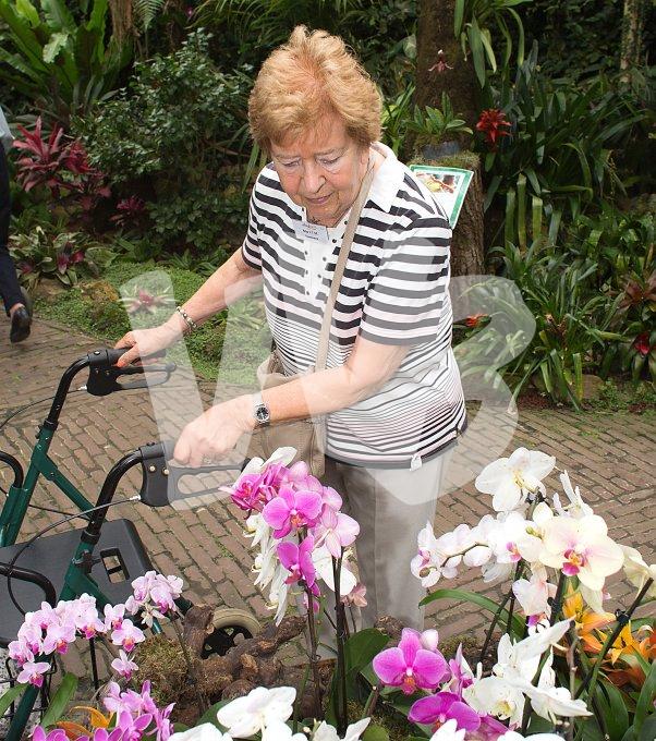 Ouderen maken een uitje  6530 