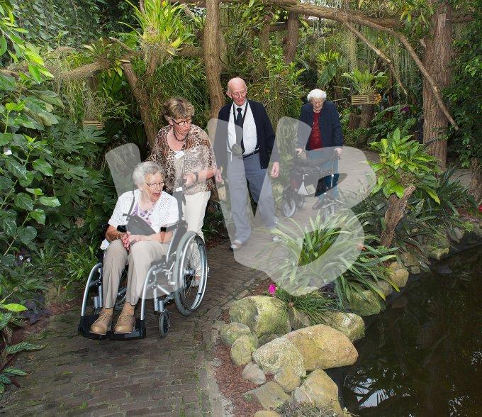Ouderen maken een uitje  6536 