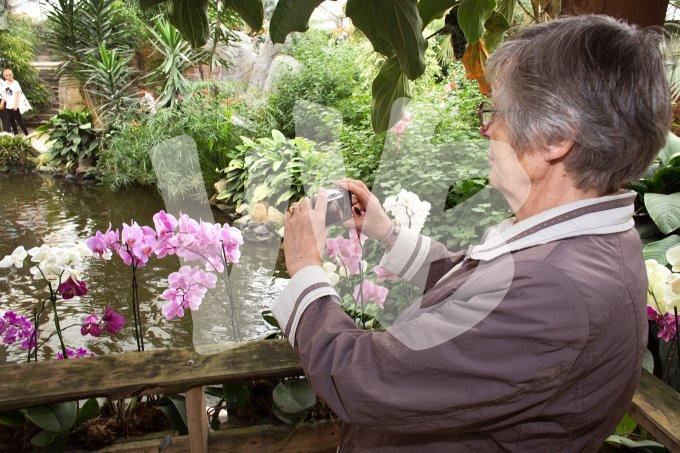 Ouderen maken een uitje  6543 