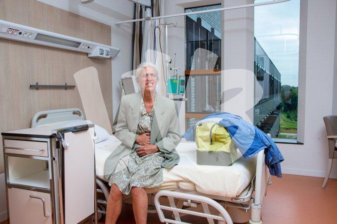 Opnames in ziekenhuis  vvbvanbree  7309