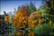 Herfst in park vvbvanbree  7364