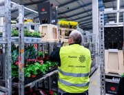 vvbvanbree Plantion-corona VVB04961