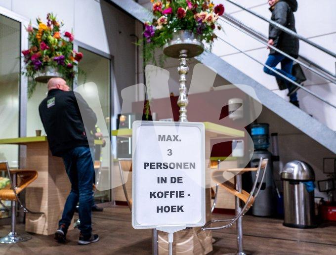 vvbvanbree Plantion-corona VVB05028